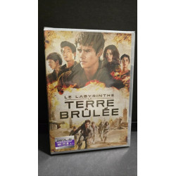 Le Labyrinthe : la terre brûlée