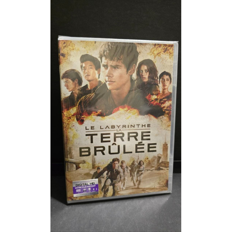 Le Labyrinthe : la terre brûlée
