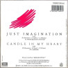 Just Imagination