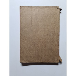 Kleiner Homöopathischer Hausarzt