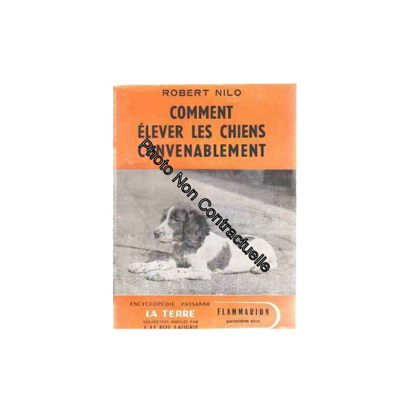 Comment elever les chiens convenablement