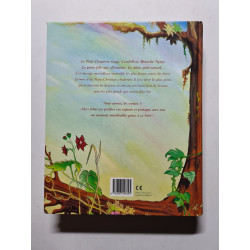 L'univers merveilleux des contes de Grimm et d'Andersen