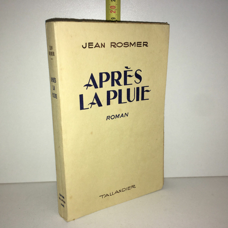 APRES LA PLUIE roman