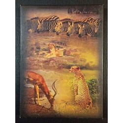 DVD - Les Chroniques sauvages : Afrique Partie