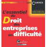 L'essentiel du droit des entreprises en difficulté