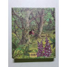 Mon Premier Larousse des Contes