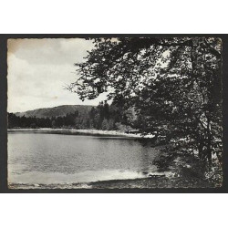 CPSM LA BRESSE 88 Le Lac des Corbeaux Vosges