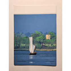 Golfe du Morbihan : La petite merveille - 2004