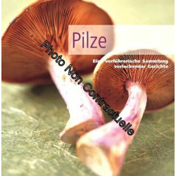 Pilze