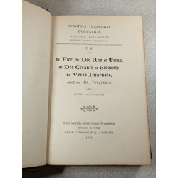 Synopsis Theologiae Dogmaticae Tomus 2