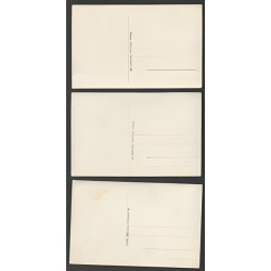 CPA Carte Photo MÜNCHEN MUNICH Sculpture sur Glace