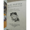 - Sur pattes Le coin des enfants Nelson