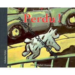 Perdu