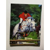 Le Cheval
