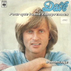 Pour Que Tu Me Comprennes / Dommage