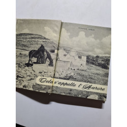 Cela s'appelle l'auteure