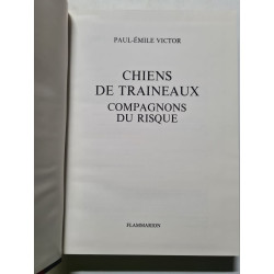 Chiens de traîneaux : compagnons du risque