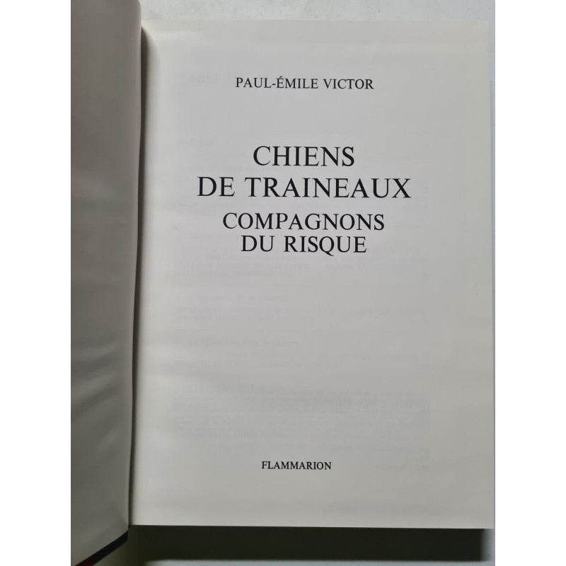 Chiens de traîneaux : compagnons du risque