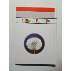 Les enfants découvrent... les fleurs et les arbres