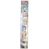 VHS - Le foot en folie