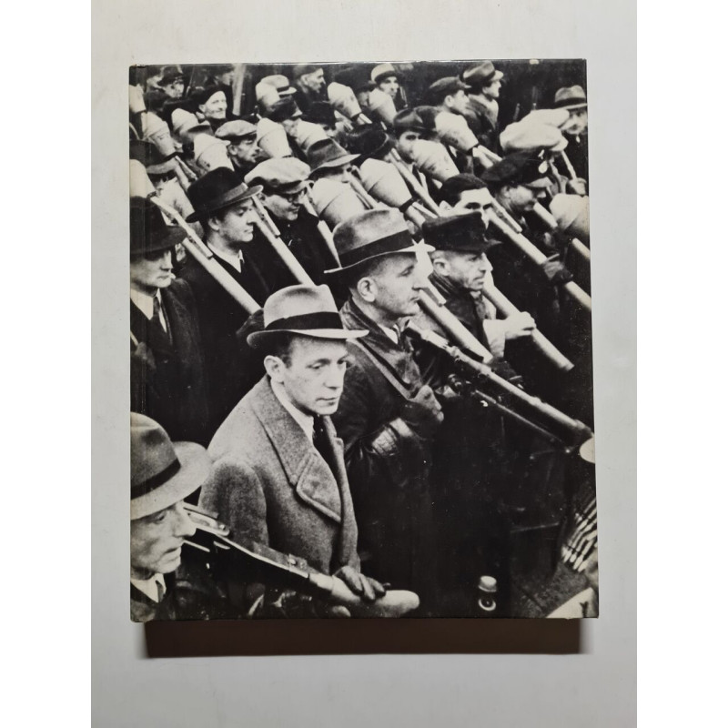 Le front intérieur : l'Allemagne (Série Seconde Guerre mondiale)