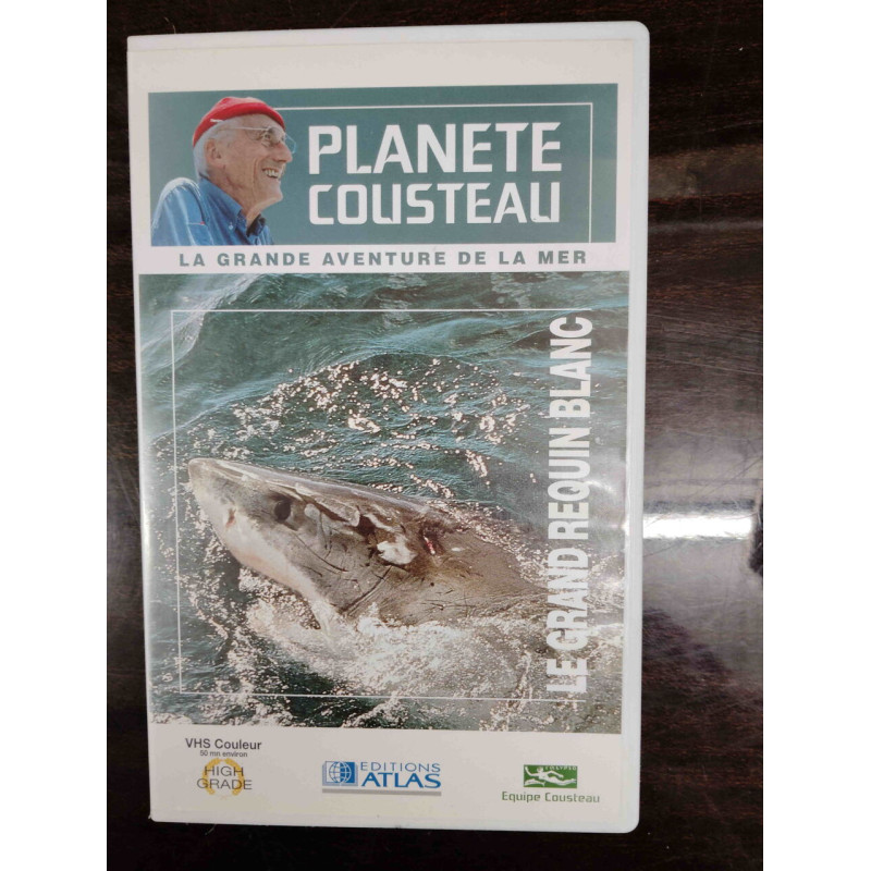 Le Grand Requin Blanc