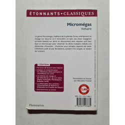 Micromégas