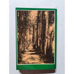 Tolstoï Enfance et adolescence