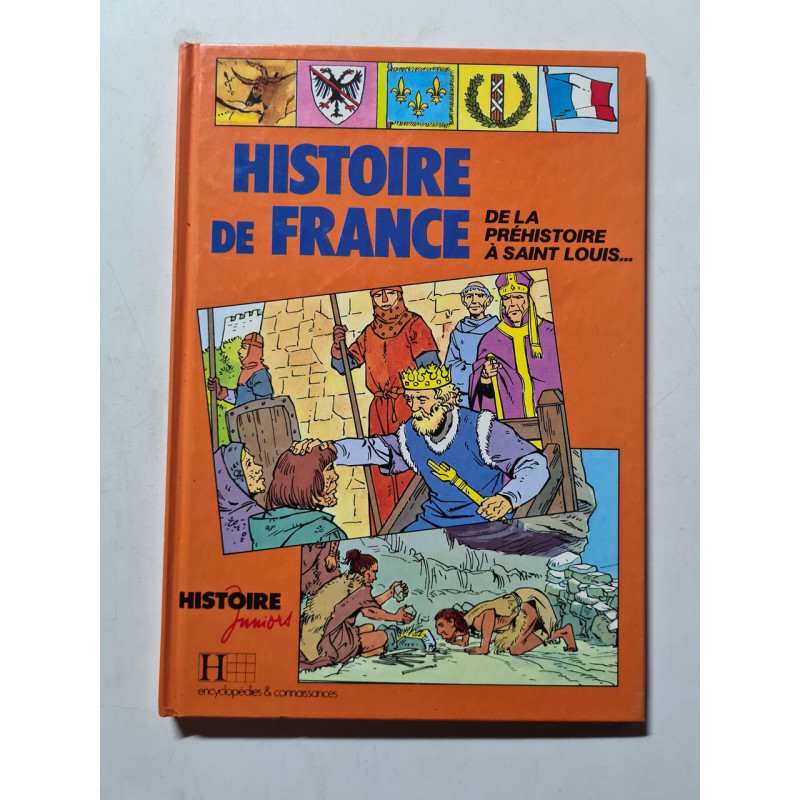 Histoire de France de la prehistoire a saint louis
