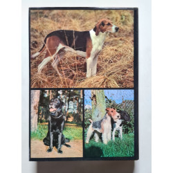 Guide des chiens de chasse