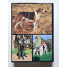 Guide des chiens de chasse