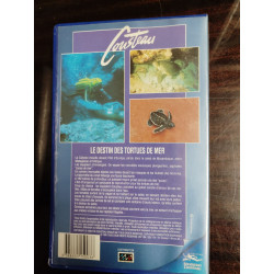 Le destin des tortues de mer