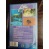 Le destin des tortues de mer