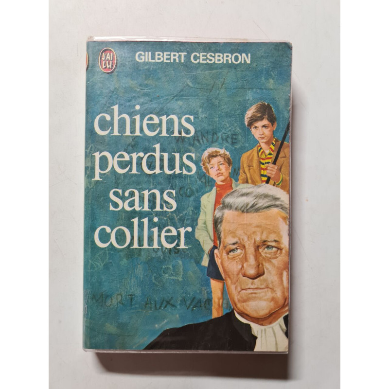 Chiens perdus sans collier