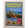 Les plantes du bord du mer