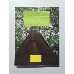 L'arbre à chewing-gum