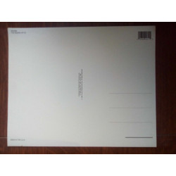 Carte Postale Grand Format Le Magicien d'OzImprimée aux USA. 25 5 x 20