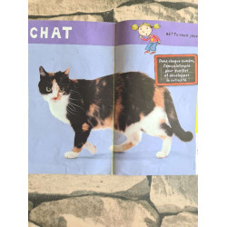 Toupie N.288 - éliot et Zoé en route pour la rentrée