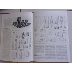 Première céramique premier métal du néolothique à l'age de Bronze...