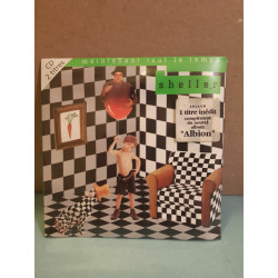 William Sheller - Maintenant tout le temps Albion CD Neuf sous blister