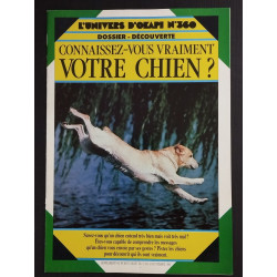 Revue L'Unvers d'Okapi N° 360