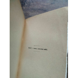 Marcel prevost Le domino jaune Les