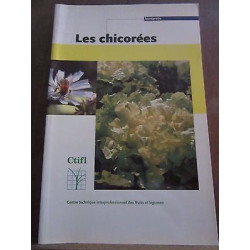 Les chicorées ctifl