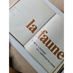 La Faune tome 6 : L'Eurasie et l'Amerique du Nord