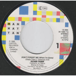 Don't Forget Me (When I'm Gone)