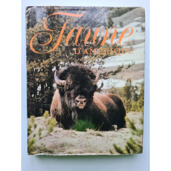 Faune d'amerique