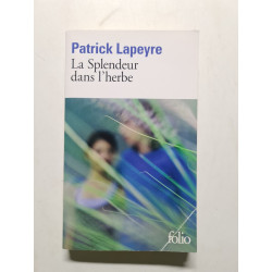 La splendeur dans l'herbe