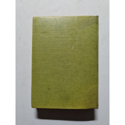 Sans Famille tome II