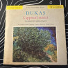 Dukas - L'apprenti sorcier
