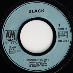 Wonderful Life
